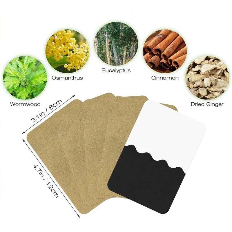 Kung Fu Wellness Heat Patch (Pack of 1 - 10 Patch)